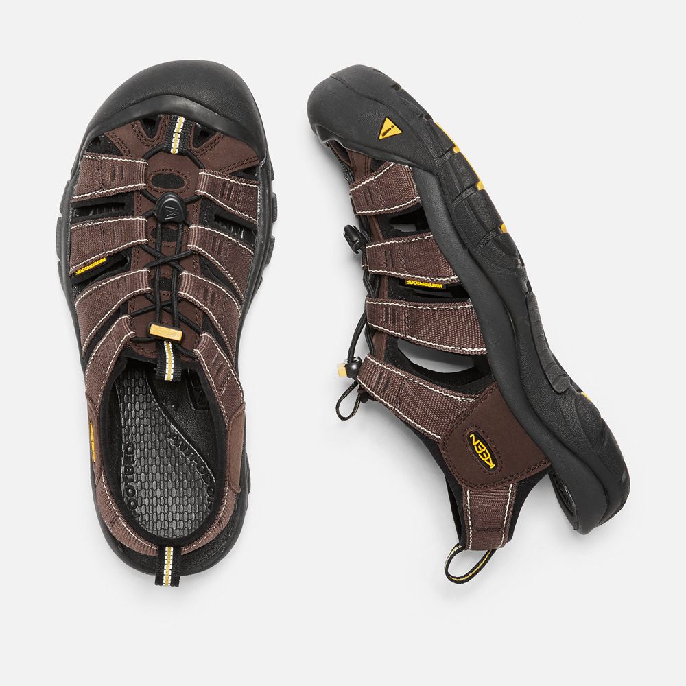 Keen Outdoor Sandalet Erkek Kahverengi/Siyah - Newport H2 - Türkiye EMSG69034